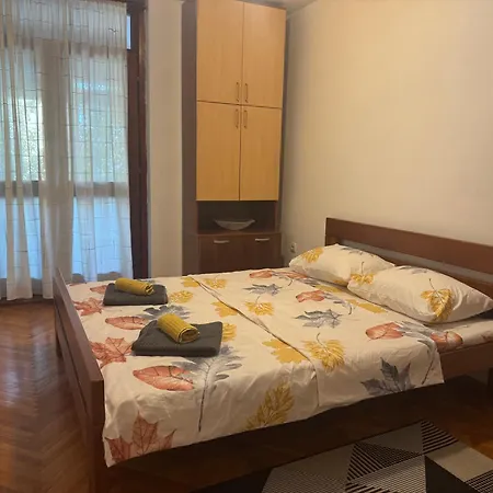 Modern Free Parking Near Center Apartment *