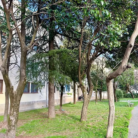 Modern Free Parking Near Center Podgoriçe